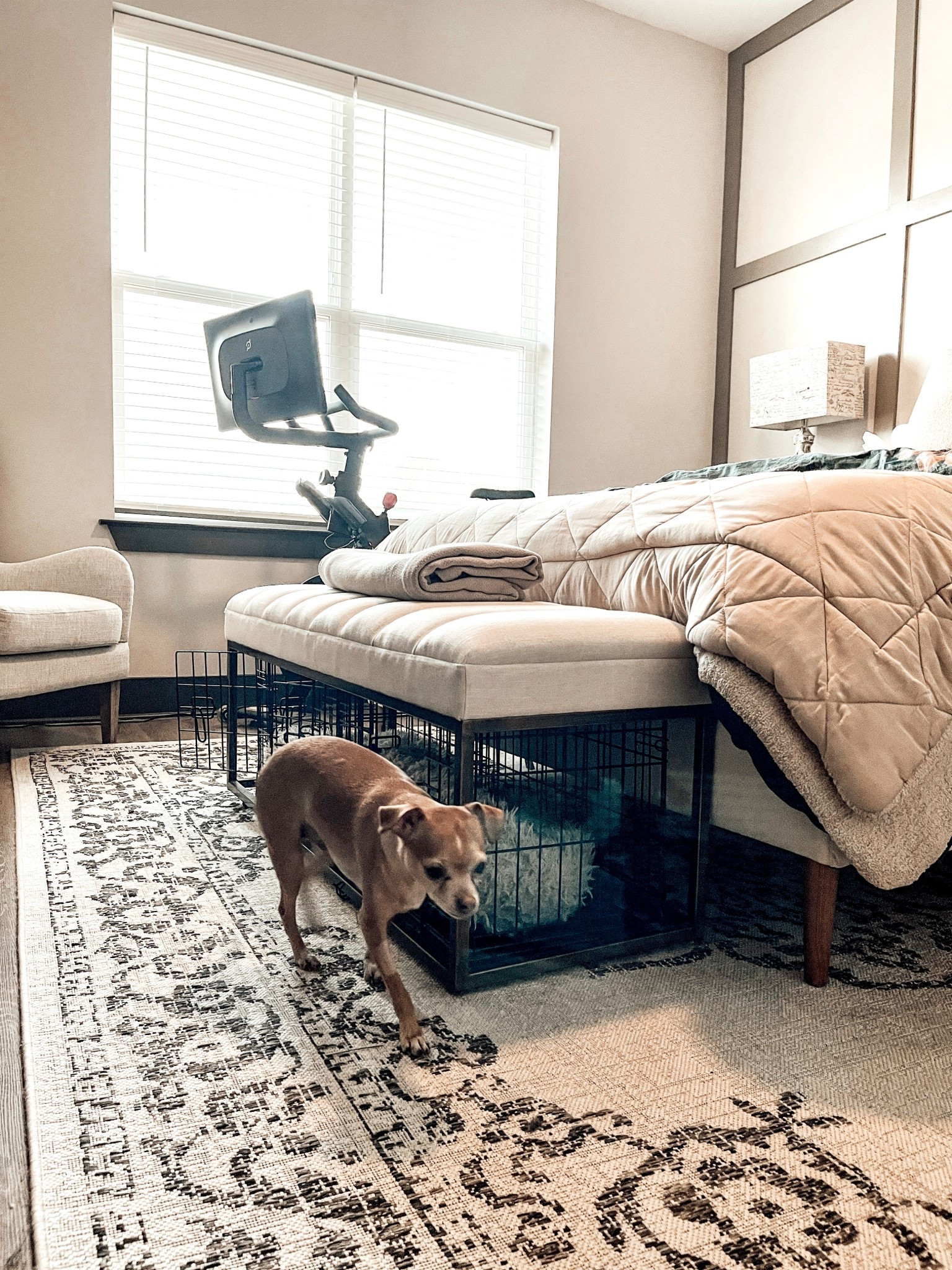 Apartment Therapy: Dog Mom Edition

Double Pet Crate Bench

Scroll to shop. 

#LTKPet


#LTKHome #LTKdayinmylife
