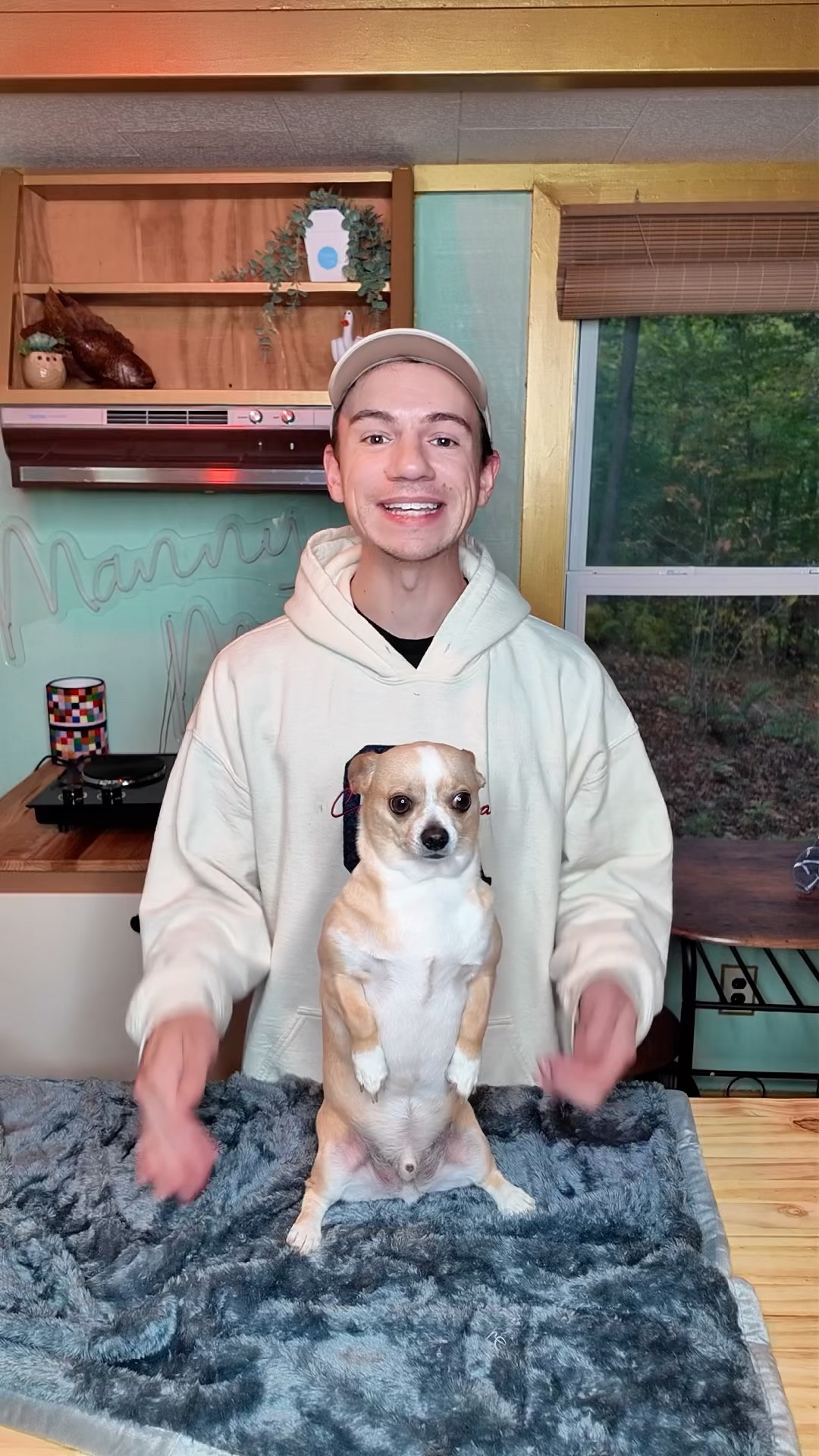 Pawtect waterproof pet blanket 

#LTKHome #LTKFindsUnder50 #LTKFamily