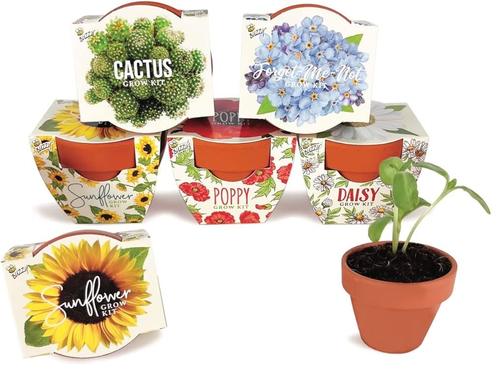BUZZY Terracotta Mini Grow Pots, Assorted 6-Pack, Daydream Collection, Sunflower, Daisy, Poppy, C... | Amazon (US)