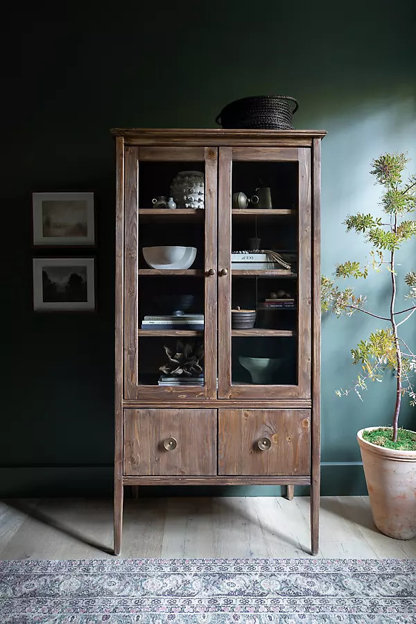 Curio Cabinet | Anthropologie (US)