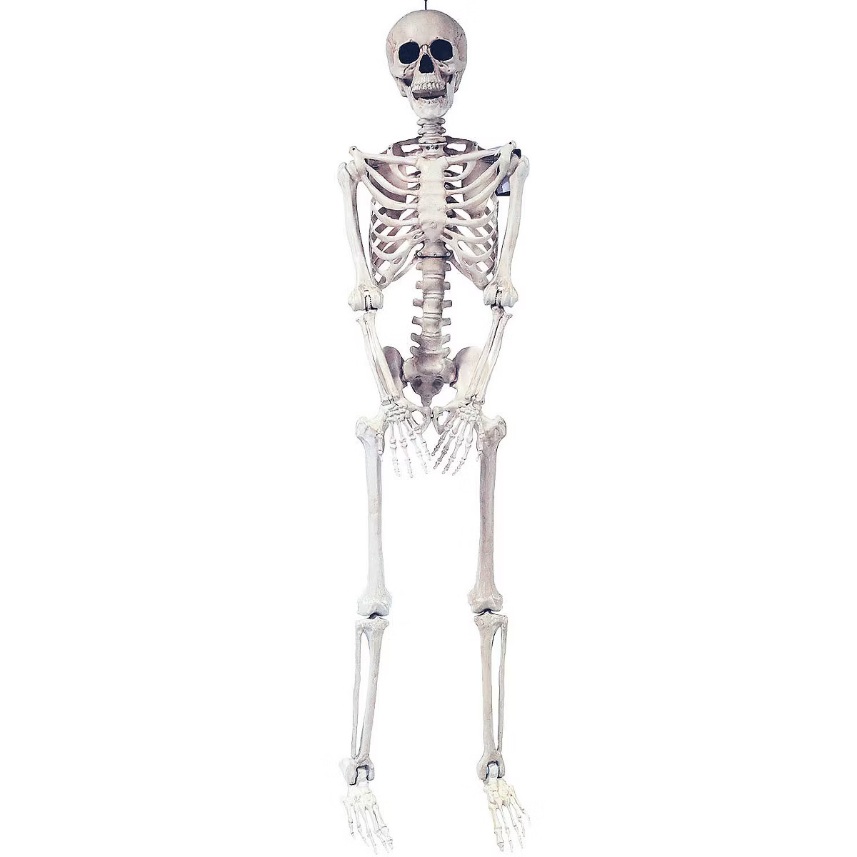 Halloween Express  5 ft Skeleton Pose & Hold Decoration | Target