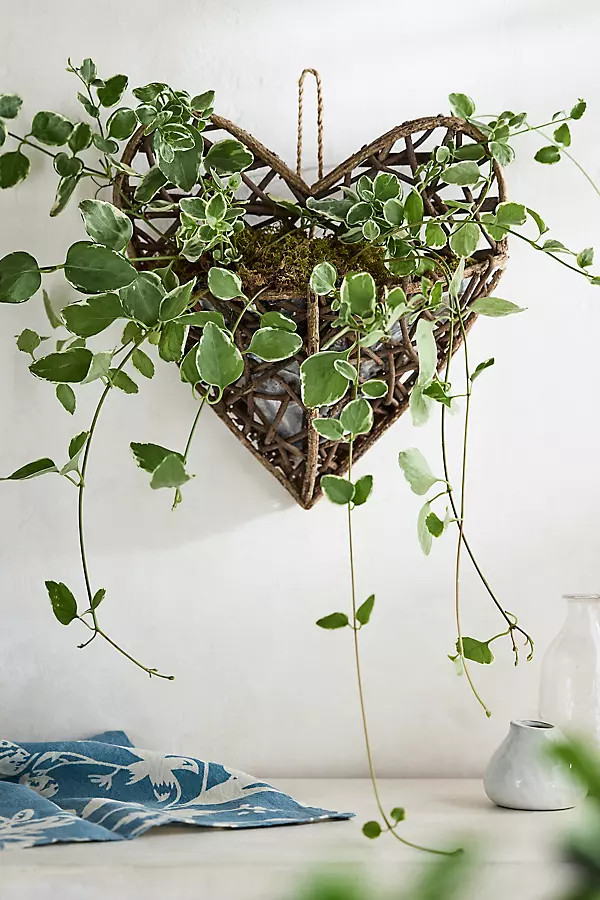 Hanging Twig Heart Planter | Anthropologie (US)