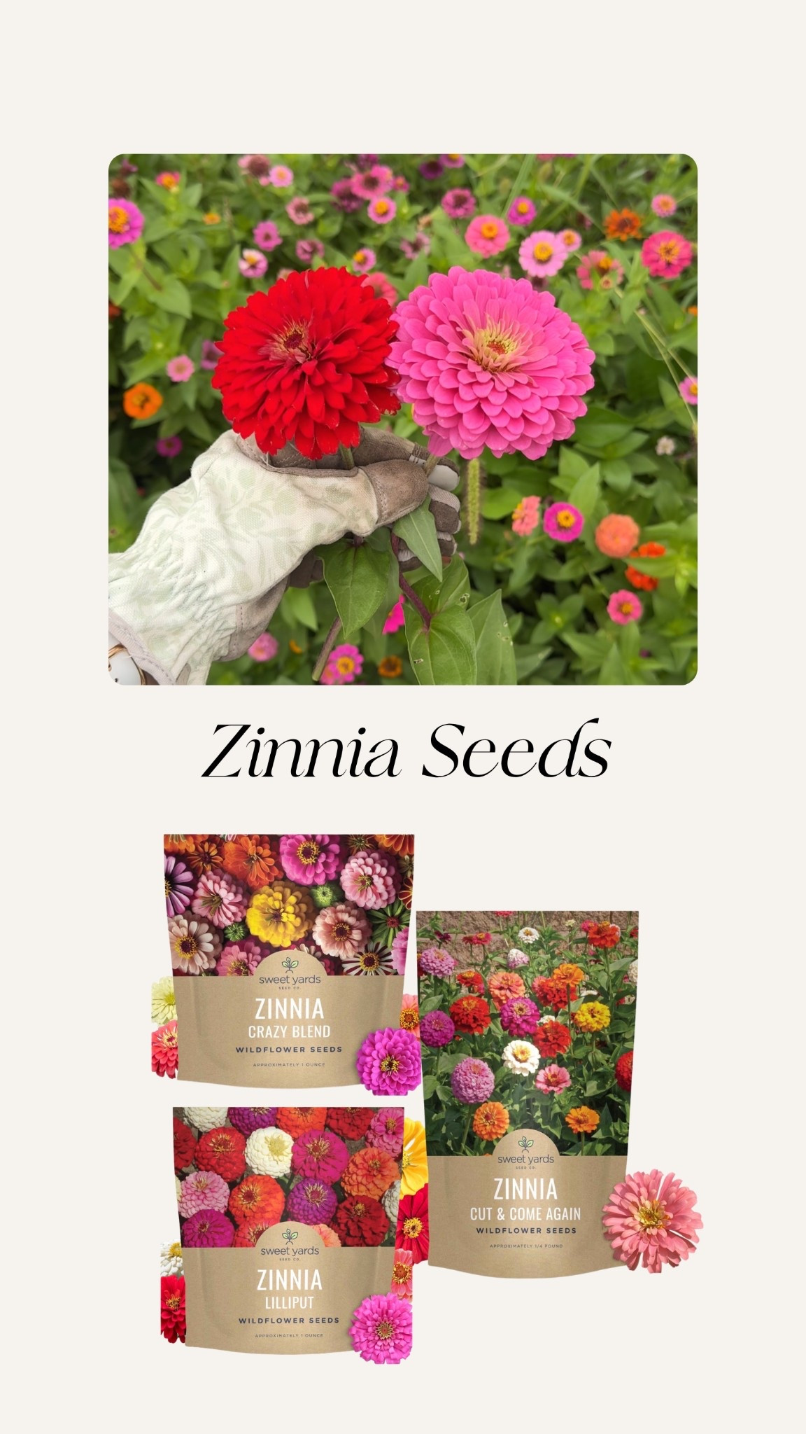 It’s gardening season and these zinnia were my favorite project last year!🌷 They gave us stunning blooms all summer long (once you cut a flower it re-blooms), plus they are the easiest flowers to grow and maintain!

The seeds are from Amazon, simply scatter the seeds and cover in soil then water! In 2 months you will have endless flowers!

#LTKHome