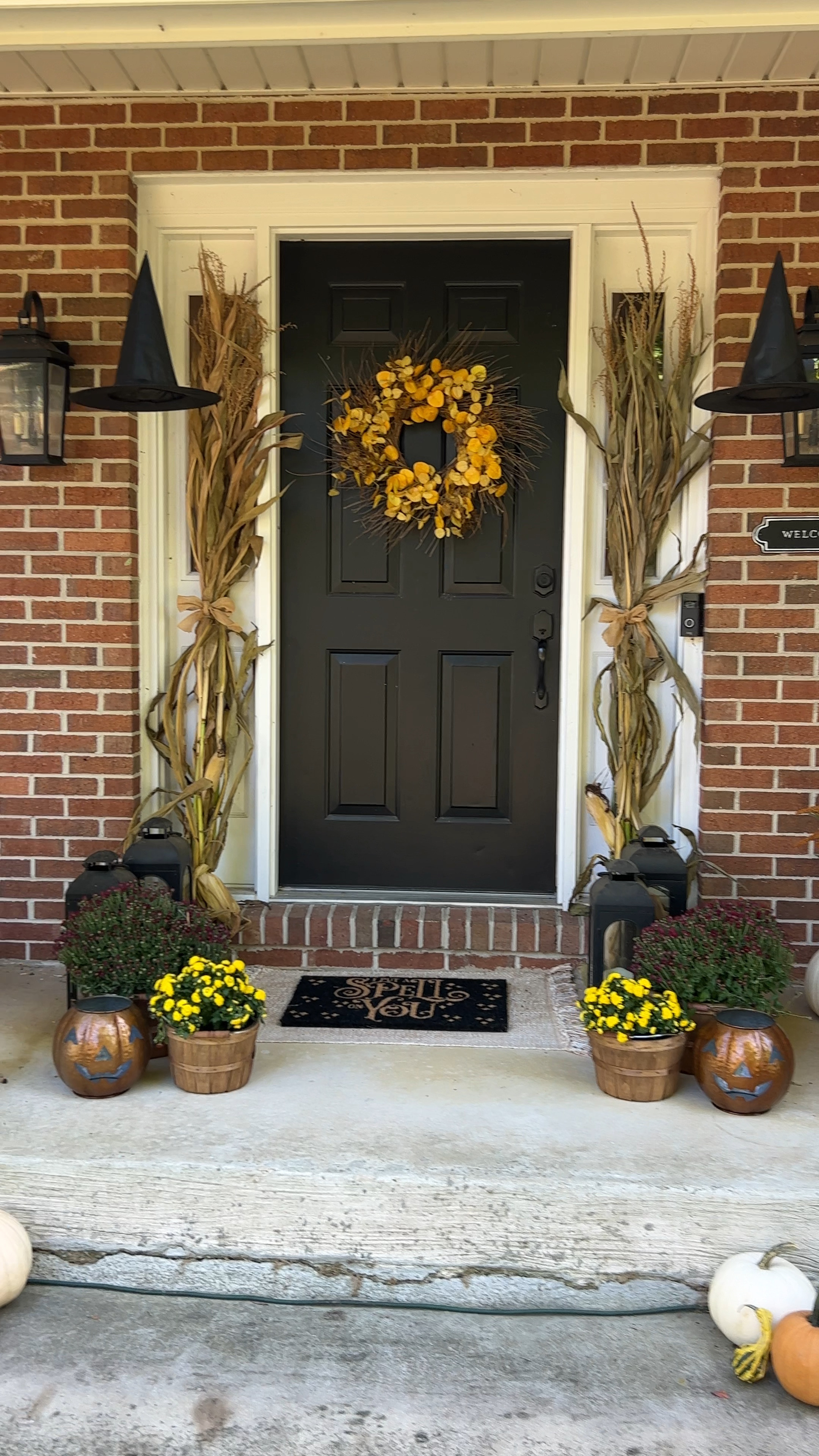 Linking my 2024 Halloween/fall decor here!

#LTKHome #LTKStyleTip #LTKFindsUnder50