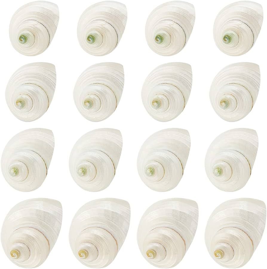 PH PandaHall 16pcs Natural Spiral Shell Beads, 0.8~1.1 Inch Mouth Turbo Seashells Undrilled Spira... | Amazon (US)