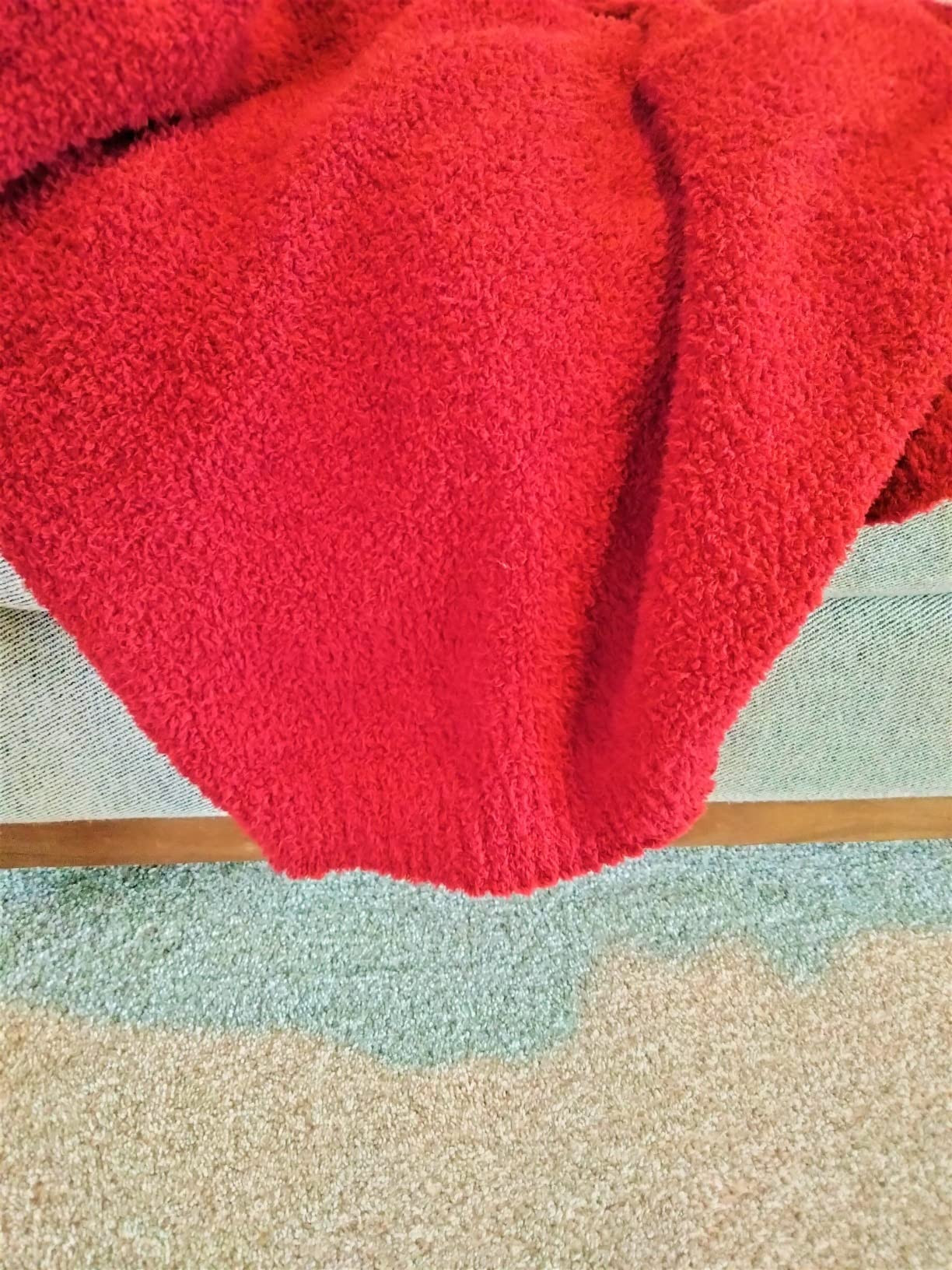 bearberry Super Soft Fluffy Throw Blanket Lightweight Cozy Warm Throw Blankets for Couch Bed Sofa... | Amazon (US)