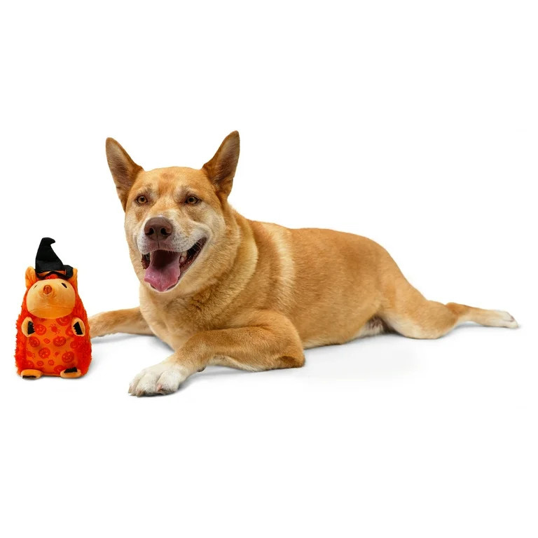 Vibrant Life Halloween Plush Dog Toy with Squeaker, Witch Hedgehog, Orange, 7" | Walmart (US)
