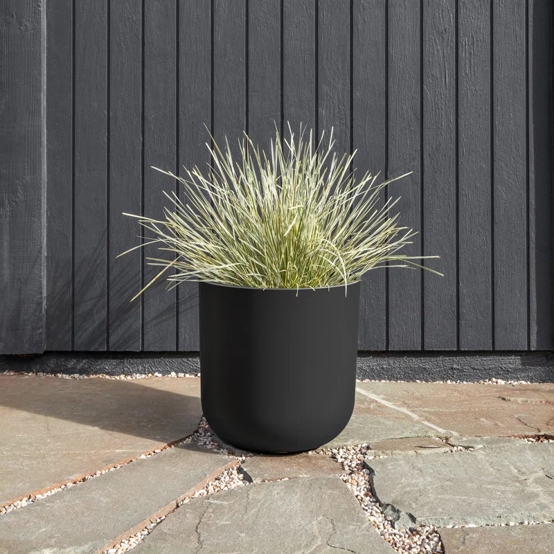 Pure Series Planter | Wayfair North America
