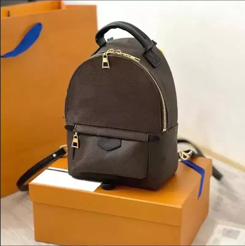 DhGate LV Mini Palm Springs Backpack 