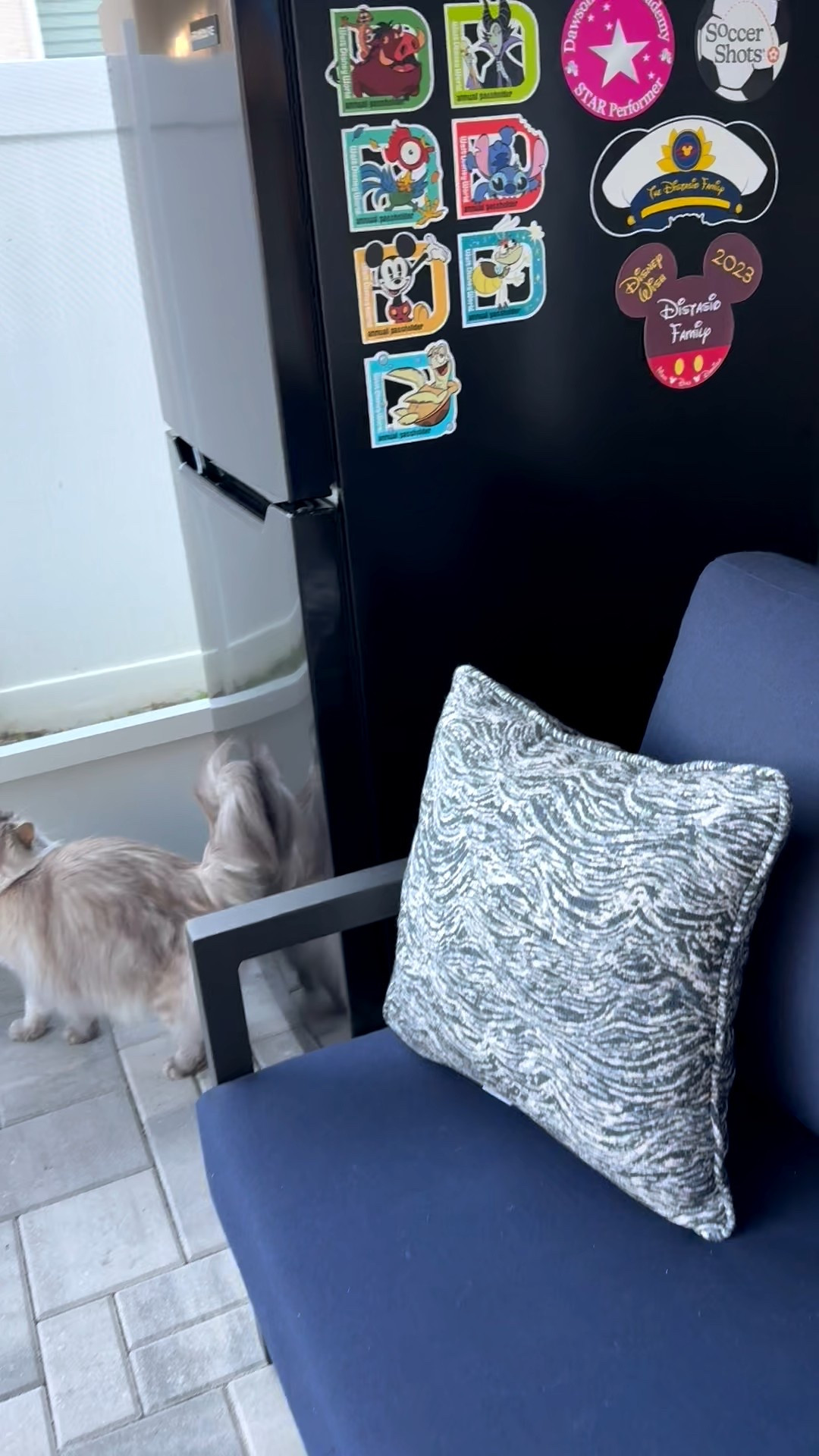 I love a stocked up & somewhat organized fridge! Thanks to these storage organizers that are great for beverages!

#LTKmomlife #LTKdayinmylife #LTKHome
