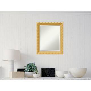 Amanti Art Medium Rectangle Antique Gold Casual Mirror (23.88 in. H x 19.88 in. W) | The Home Depot