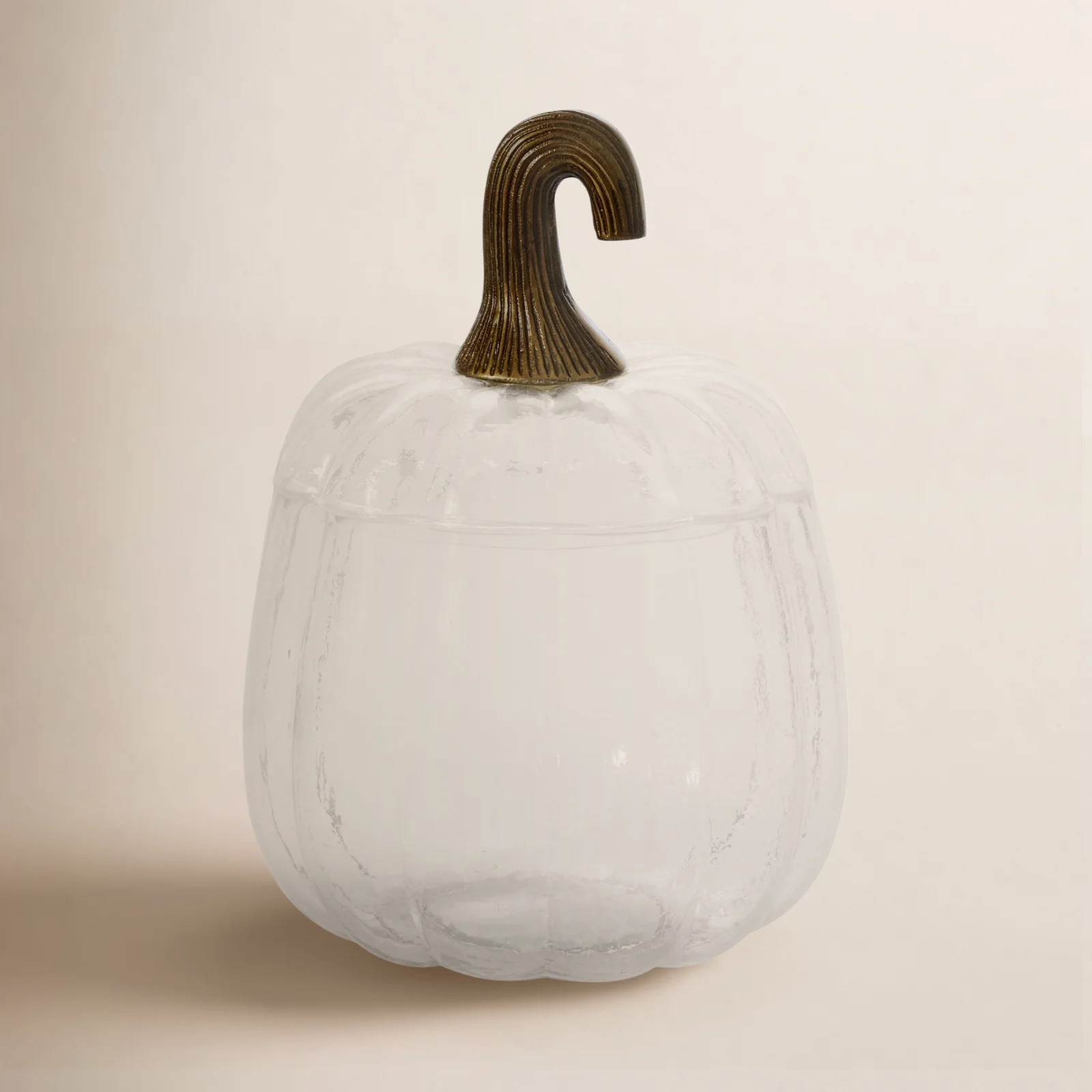Joss & Main Large Translucent Pumpkin Terrarium & Reviews | Joss & Main | Joss & Main