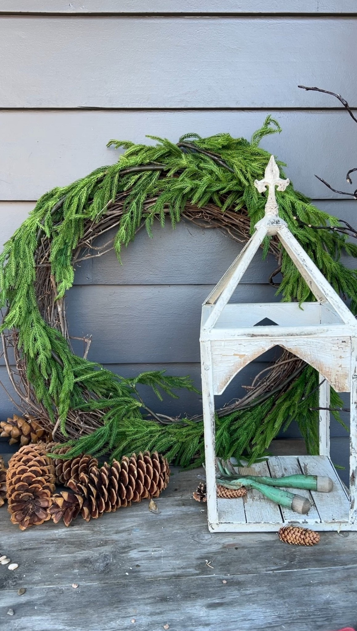 This real-touch Norfolk Pine garland is such a beautiful find for garden and nature lovers 🌲 It has that fresh, just-clipped-from-the-yard look! Soft, realistic, and perfect for bringing a bit of the outdoors inside this season.



#LTKHoliday #LTKGiftGuide #LTKSeasonal
