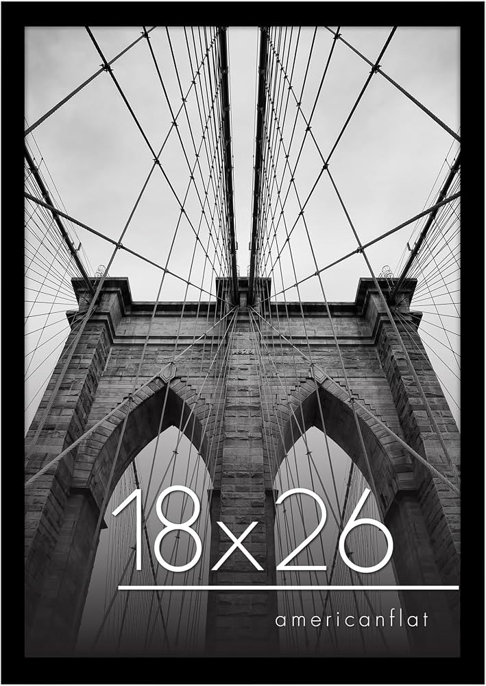 Americanflat 18x26 Poster Frame with Polished Plexiglass - Epic Collection - Gallery Wall Frames ... | Amazon (US)