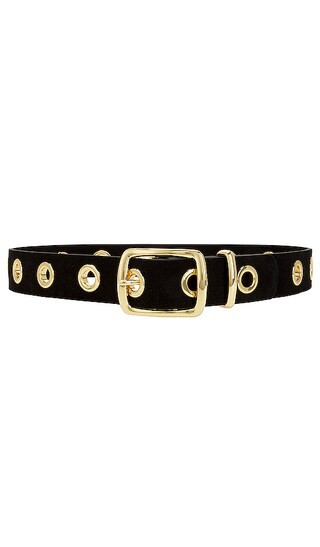 Roma Grommet Belt in Black | Revolve Clothing (Global)