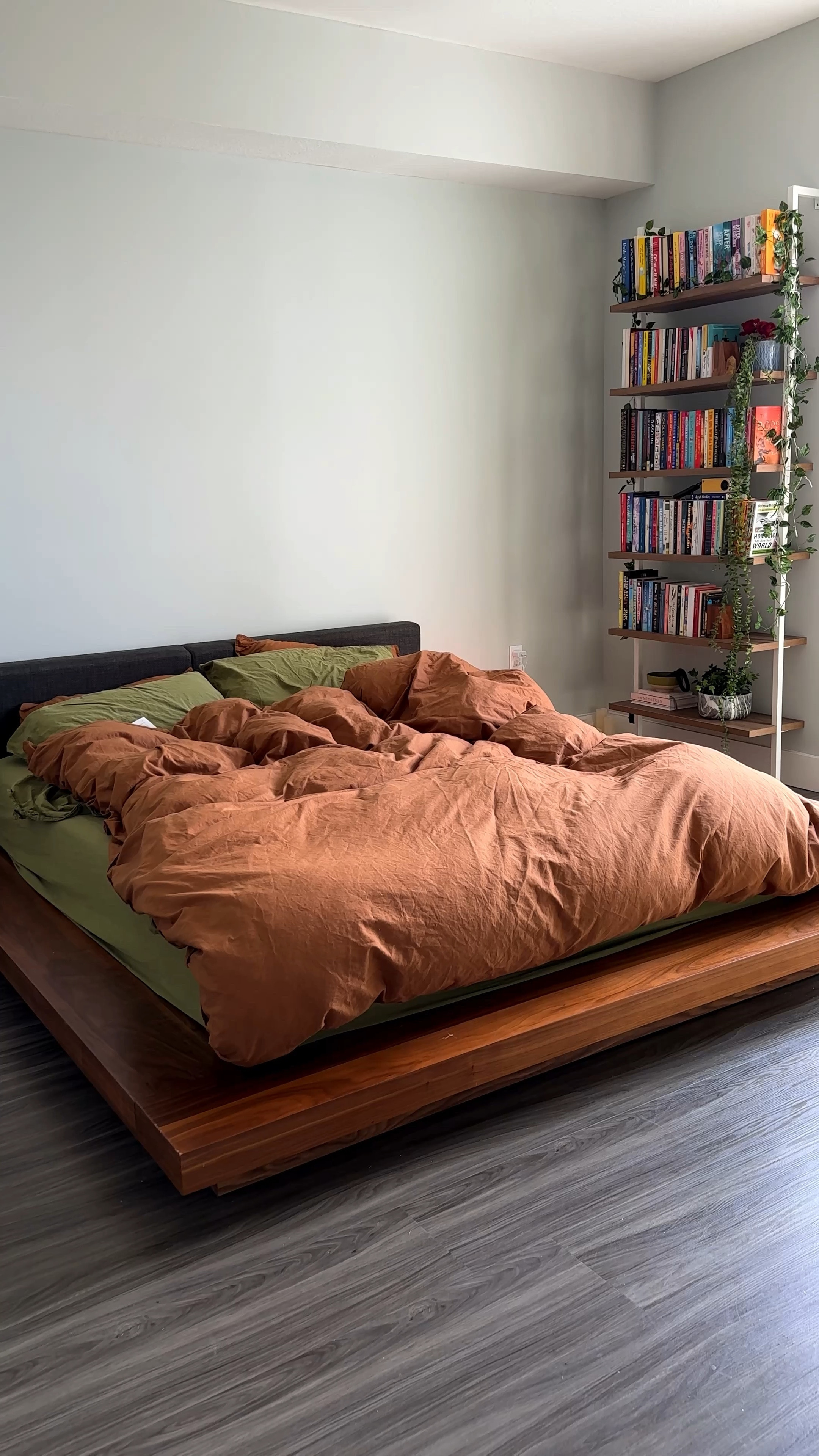 cozy days at home 📚 

#LTKunder100 #LTKFind #LTKhome