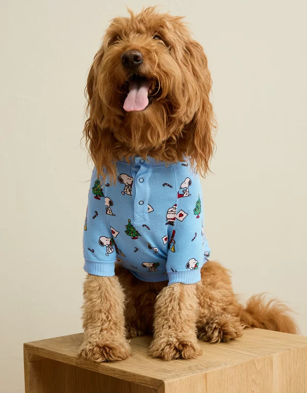 ABO Snoopy Santa Plush Dog Pajama | American Eagle Outfitters (US & CA)