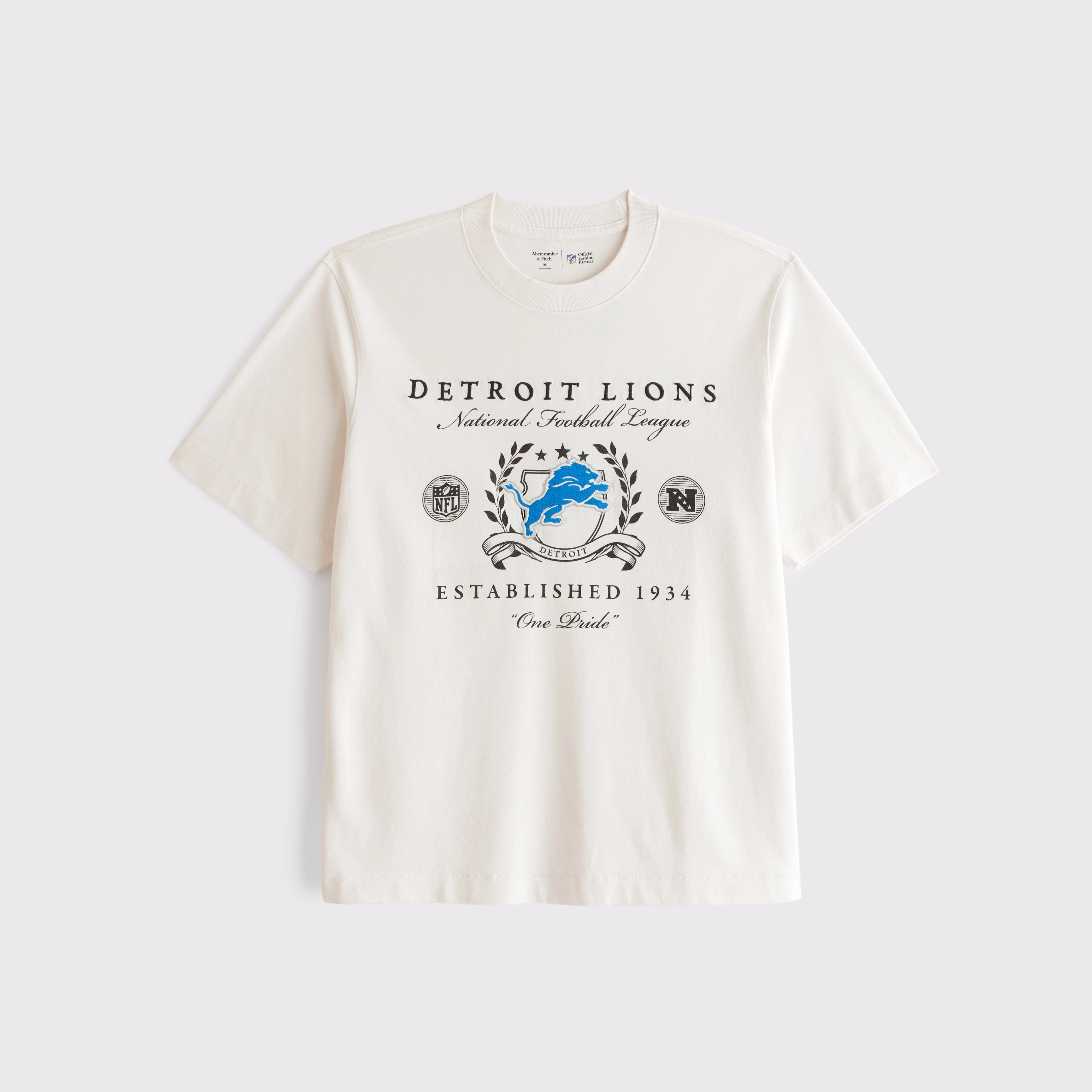 Detroit Lions Premium Heavyweight 2.0 Tee | Abercrombie & Fitch (US)