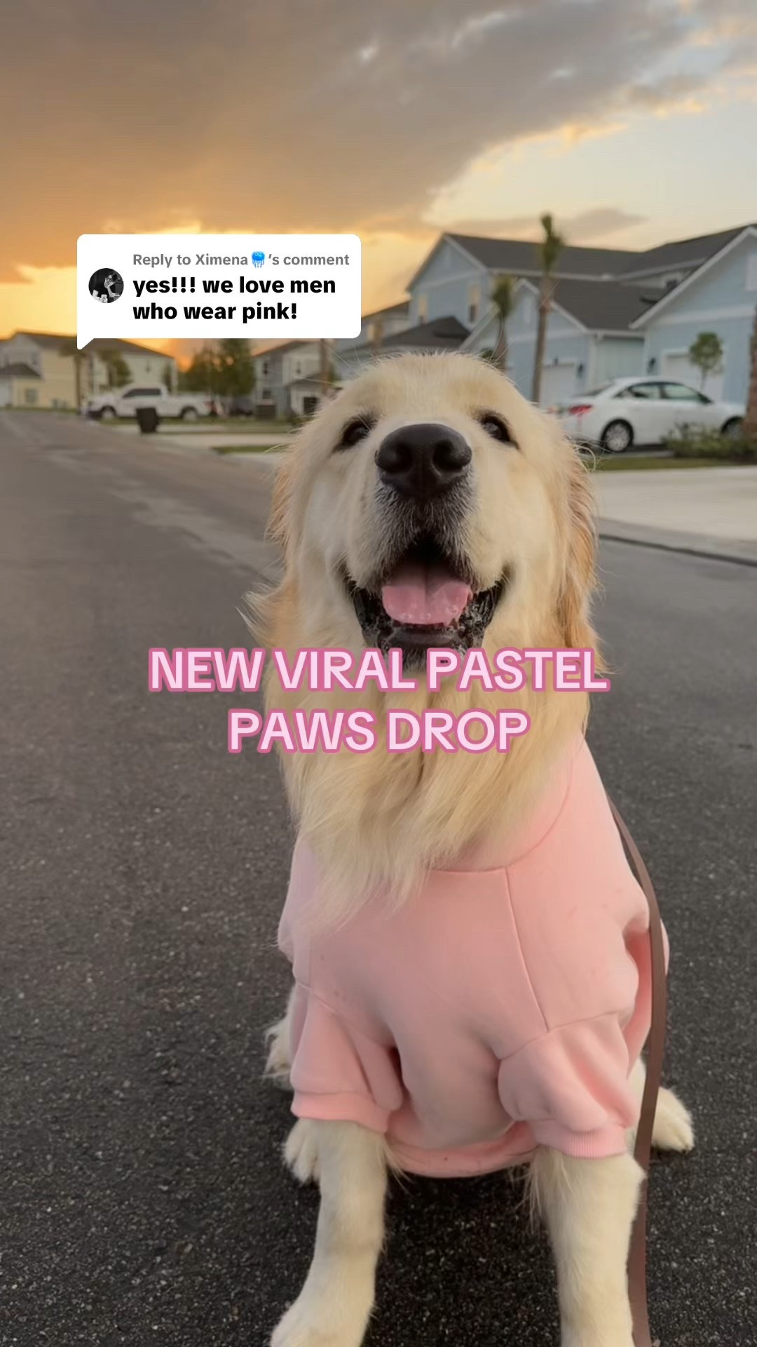 your dog needs this #comfrt 

#LTKSaleAlert #LTKPets #LTKFindsUnder50