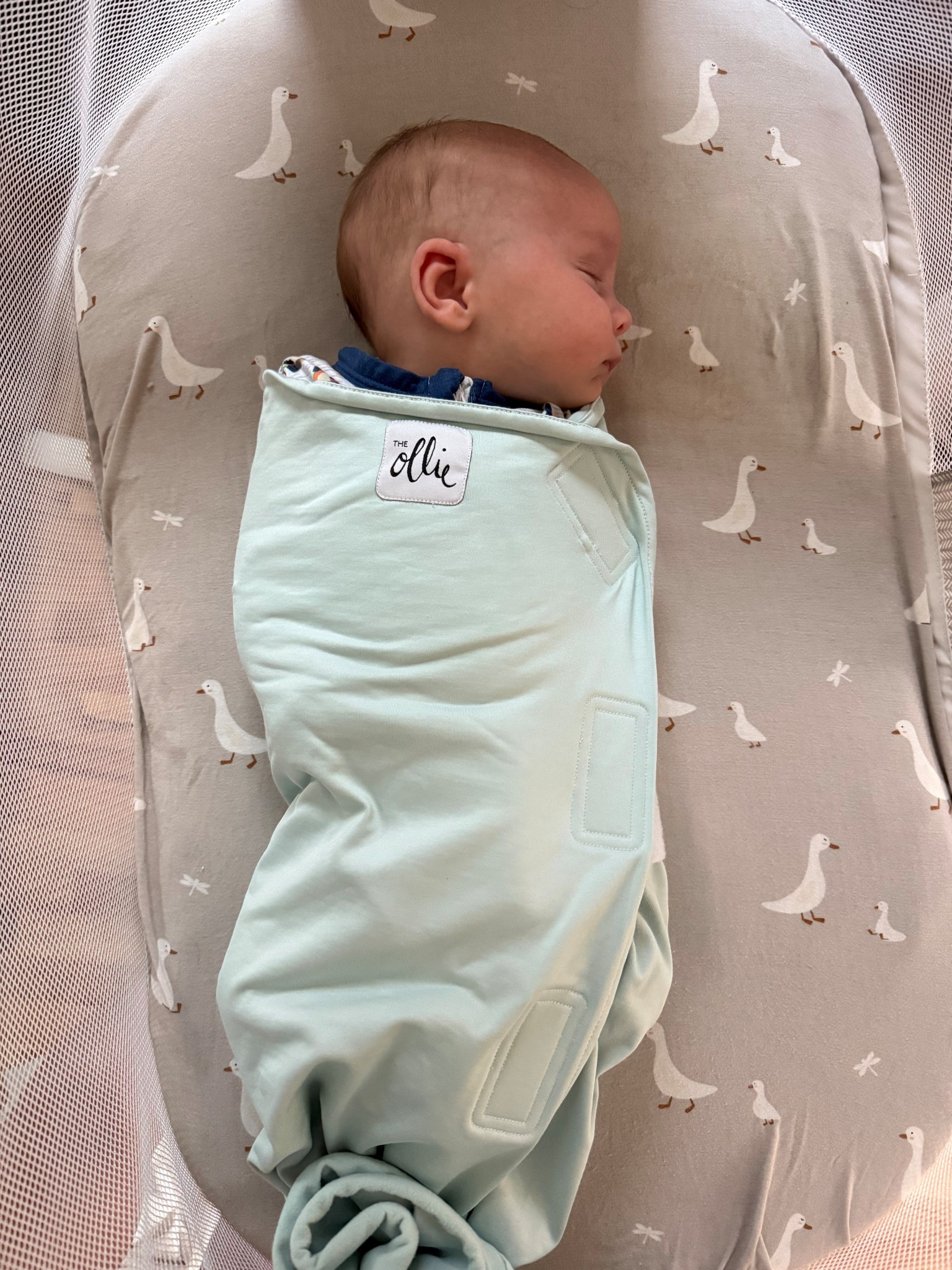 Our favorite swaddle! 

* Ollie swaddle review
* best swaddle for newborns
* velcro swaddle vs blanket
* baby sleep products that work
* newborn sleep essentials
* safe sleep baby
* breathable swaddle
* easy swaddle for moms
#newborn #babyregistry #swaddles

#LTKKids #LTKBaby #LTKBump