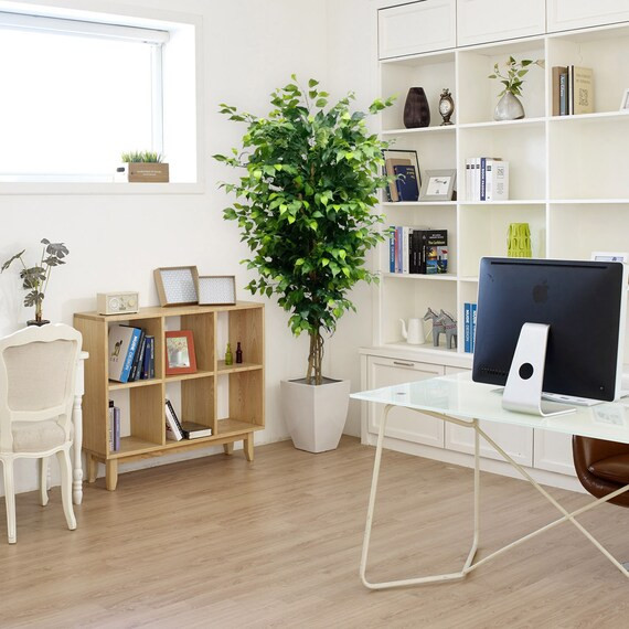 Silk Ficus Trees 6' w 1528 lvs UV Resistant, pre-potted, House Plant, Indoor Outdoor Plant, Artif... | Etsy (US)