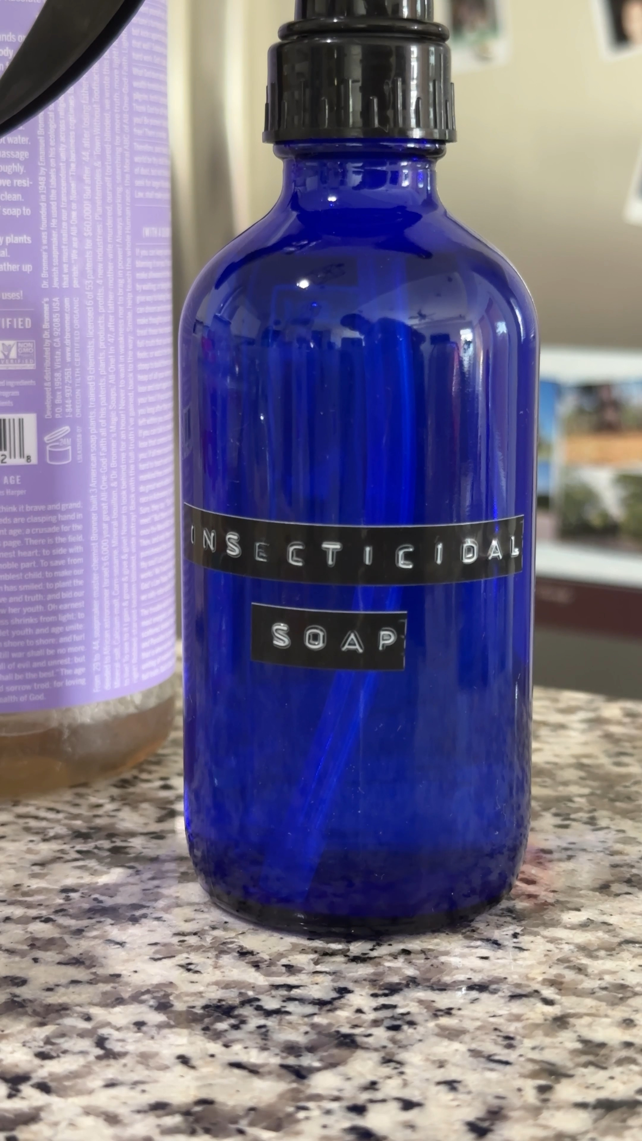 DIY Insecticidal soap for a natural plant insect repellent 

#LTKhome #LTKSeasonal