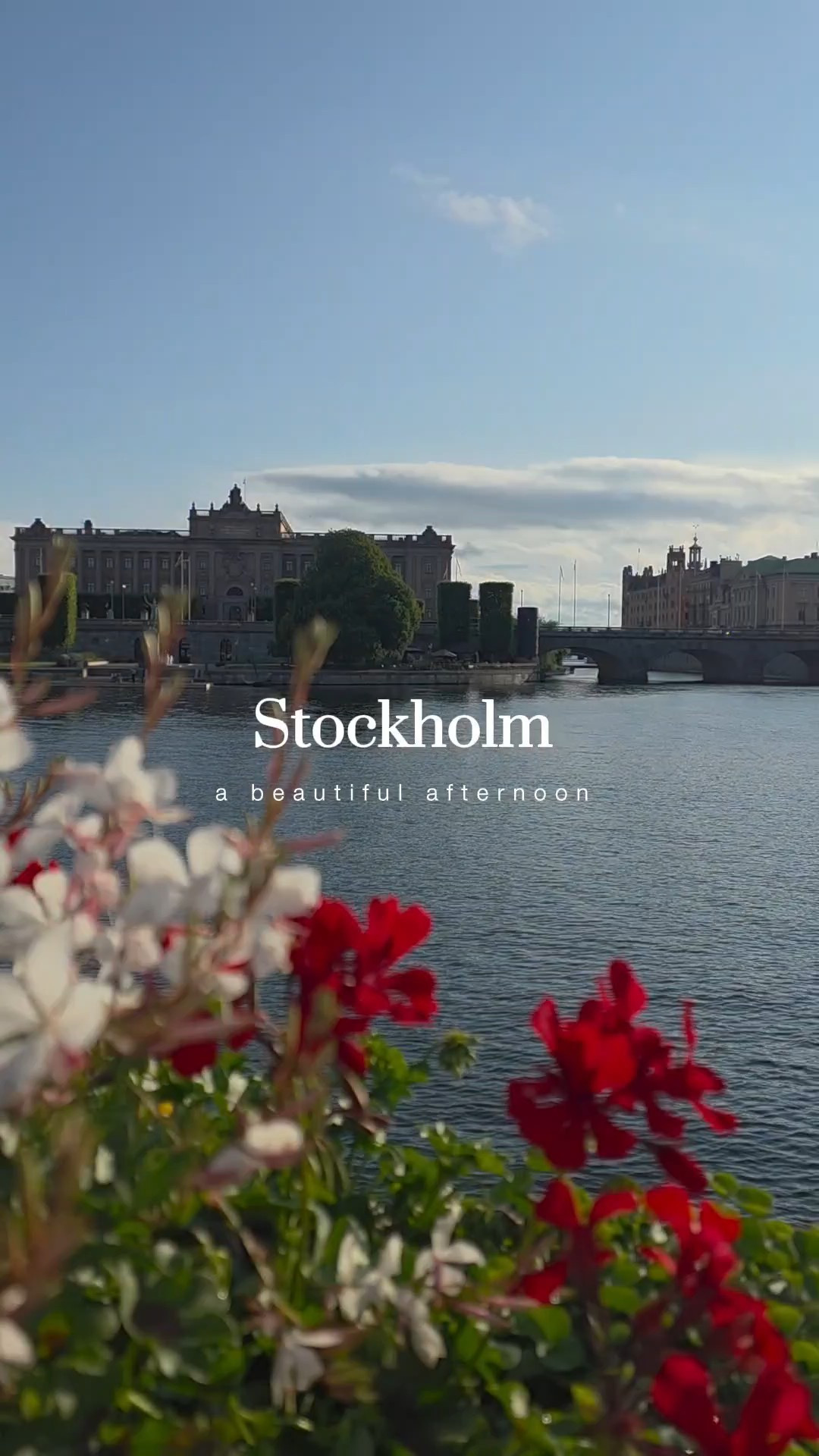 POV: Your flight gets canceled, and you end up falling for Stockholm 🇸🇪I wasn’t supposed to spend the afternoon here, but thanks to a canceled flight, I had an unexpected layover in Sweden’s capital. No plans whatsoever and no pressure...just wandering the colorful streets of Old Town, and enjoying the charming scenery.I highly recommend taking a walking tour while visiting here! Sometimes the best travel memories are the ones you didn’t plan for. (And now I can't wait to plan a full trip to Stockholm!)#Stockholm #Sweden #visitsweden #SoloTravel #DayInMyLife #ScenicEurope #TravelVibes

#LTKTravel #LTKFindsUnder100 #LTKFindsUnder50