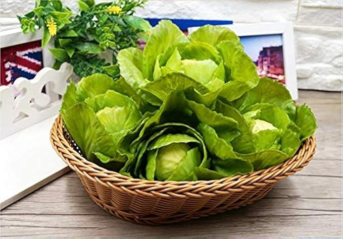 Zzooi Artificial Fake Blossomy Cabbage Simulated Full Blown Cabbage Ball 1PCS | Amazon (US)