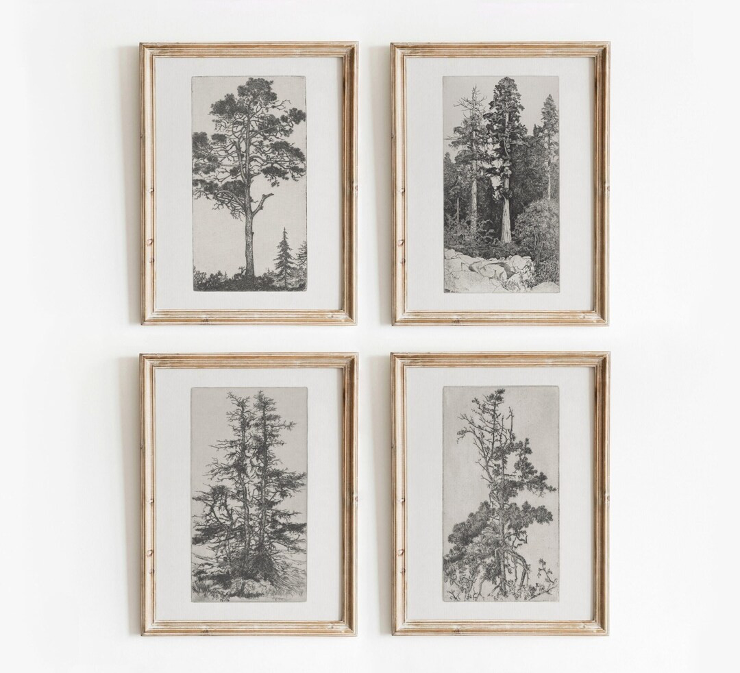 Tree Etching Set of 4 | Vintage Black and White Sketch Art | Nature Gallery Wall Artwork | Digita... | Etsy (US)