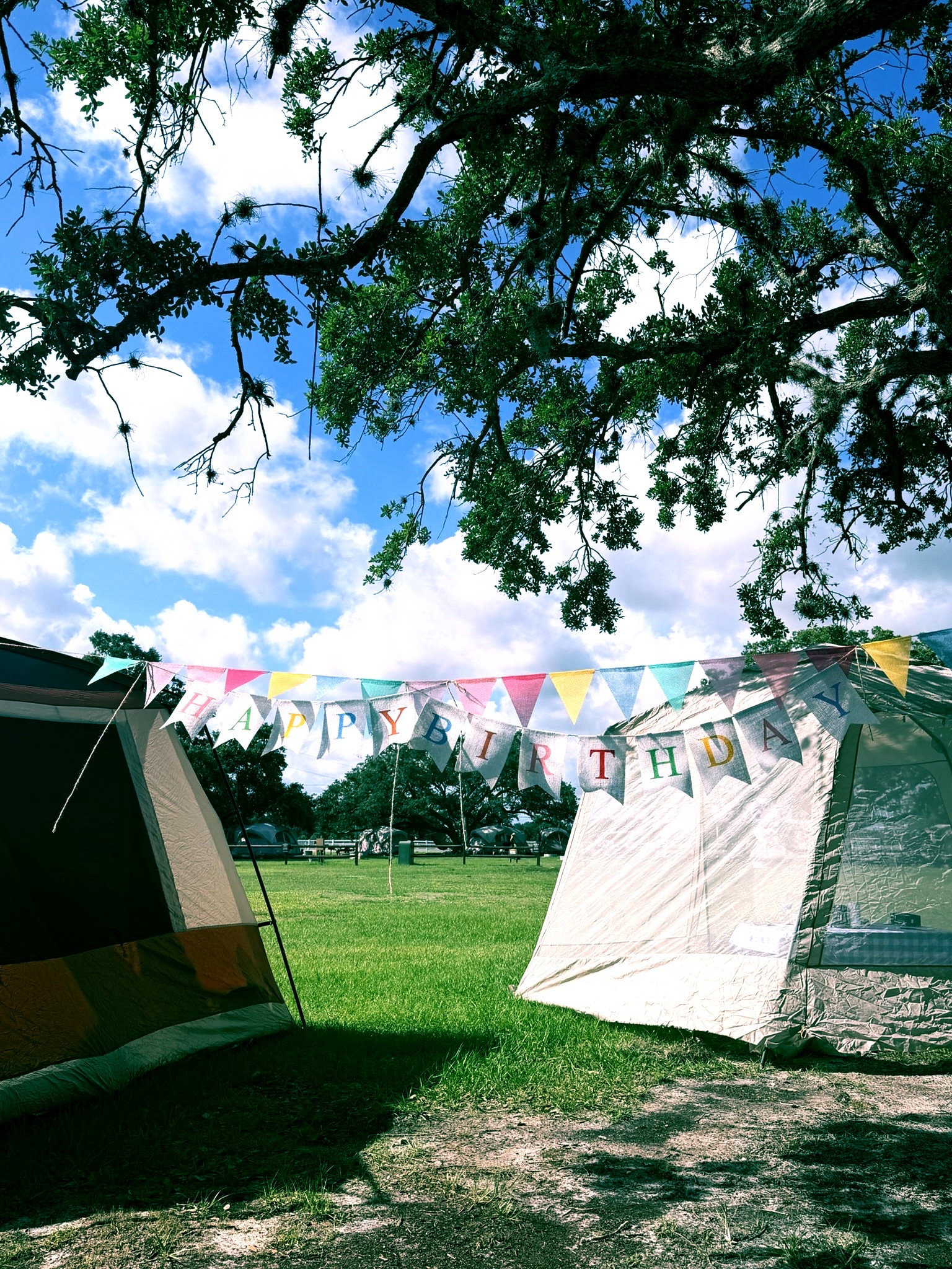 Amazon birthday decor 🎂✨ Affordable birthday banner, camping birthday ideas, birthday party decorations, outdoor birthday setup, glamping decor, campsite decorating ideas, easy party decorations from Amazon. #AmazonFinds #BirthdayDecor #BirthdayPartyIdeas #CampingLife #Glamping #AmazonHome #LTKHome #LTKTravel