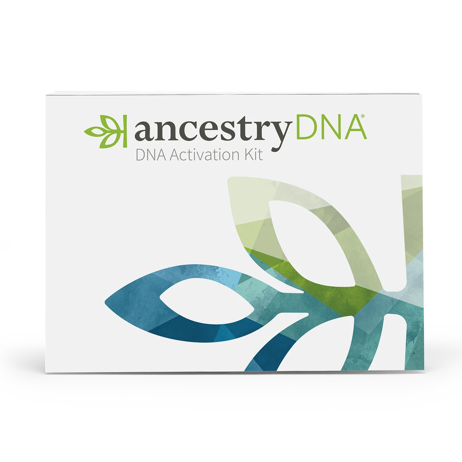 AncestryDNA: Genetic Ethnicity Test, Ethnicity Estimate, AncestryDNA Test Kit, Health and Persona... | Walmart (US)