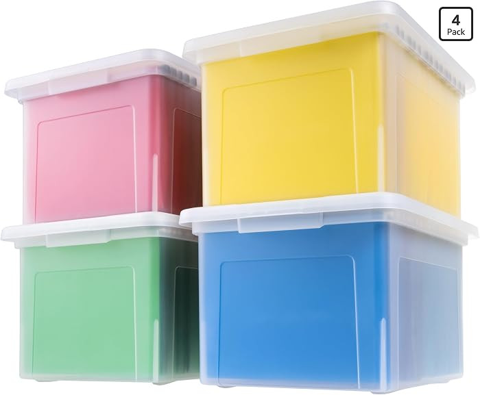 IRIS USA File Box, Plastic File Organizer with Lids for Letter/Legal File, Portable Document Box ... | Amazon (US)