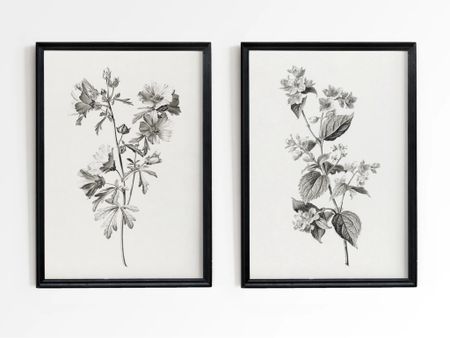 The botanical prints in my living room: 
Prints  are the 11x14
Frames are the 16x20, matted to 11x14

#LTKSeasonal #LTKstyletip #LTKhome