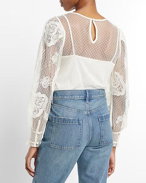 Lace Long Sleeve Crew Neck Top | Express