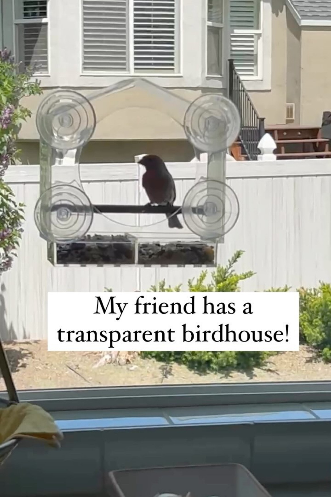 How fun is this?! 🦜

Makes a great gift or to bring nature to your own window to enjoy and educate.🐦‍⬛💕

#transparentbirdfeeder #birdfeeder #uniquegift #giftidea #birdlover

#LTKHome #LTKFamily #LTKFindsUnder50