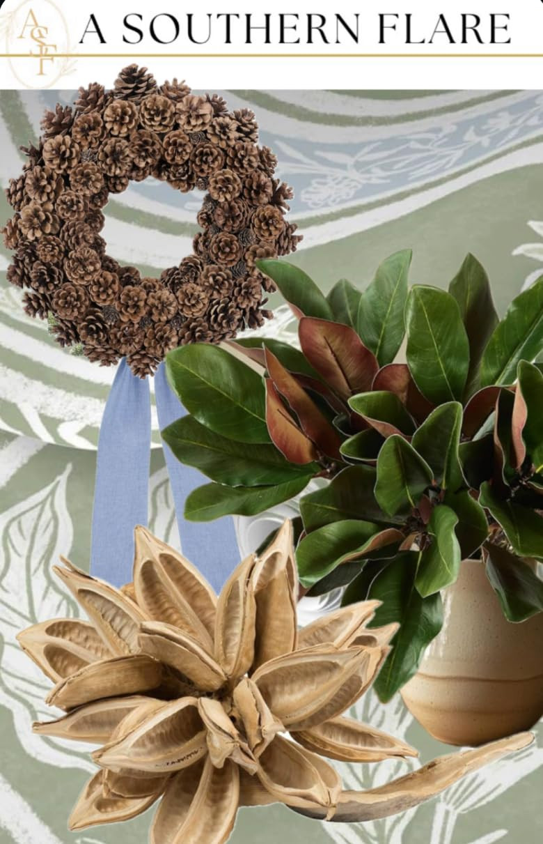 Amazon  | Amazon (US)