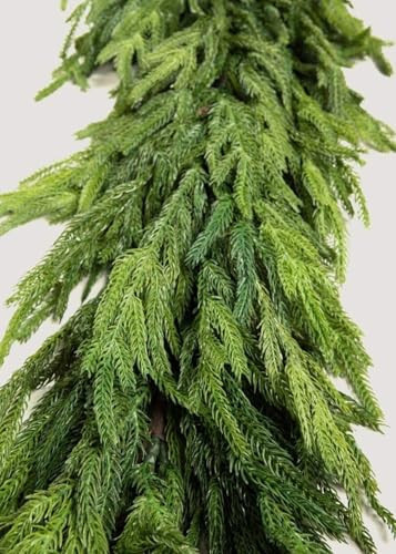 Afloral Real Touch Deluxe Norfolk Pine Garland - 96" | Amazon (US)