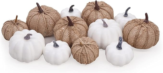 Bunny Chorus Artificial White Pumpkins and Burlap Pumpkins 12 Pcs in Different Sizes, for Fall Th... | Amazon (US)