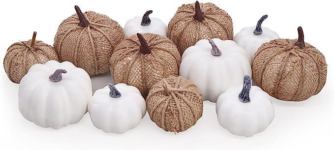 Bunny Chorus Artificial White Pumpkins and Burlap Pumpkins 12 Pcs in Different Sizes, for Fall Th... | Amazon (US)