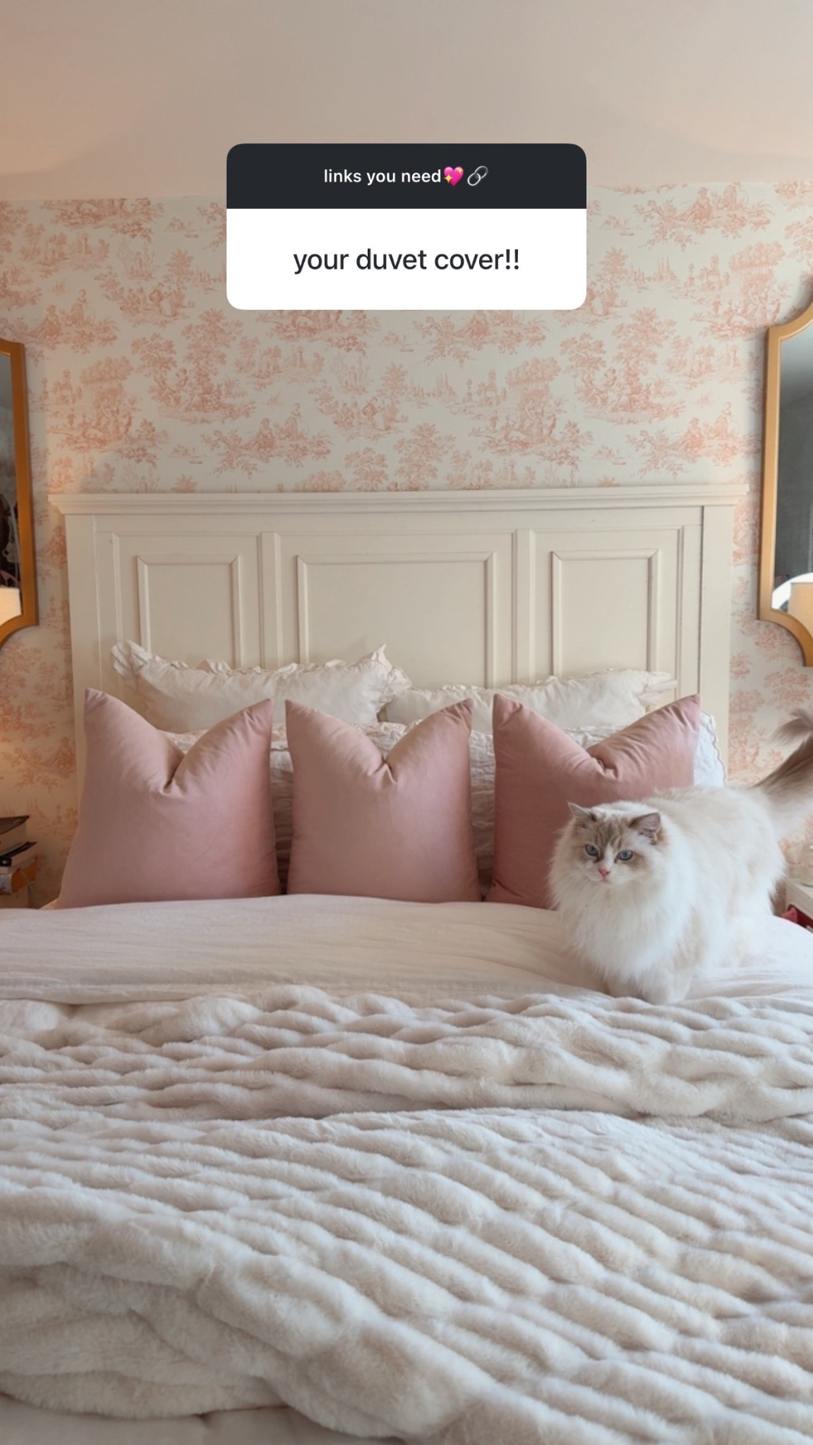 My duvet, bedding, blankets, and pillows! I was on a mission to make my bedroom super cozy and girly💖🪽

#LTKHome #LTKFindsUnder100