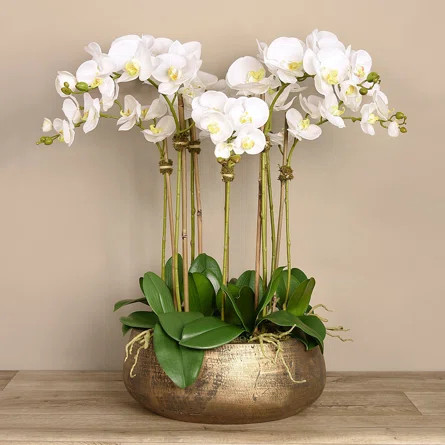 Orchid Floral Arrangement in Planter | Wayfair North America