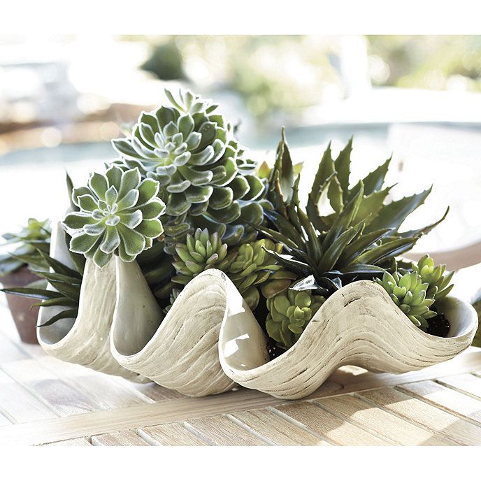 Giant Clam - Large Clam Shell - Artificial Giant Clam Shell- Giant Clamshell | Ballard Designs, Inc.