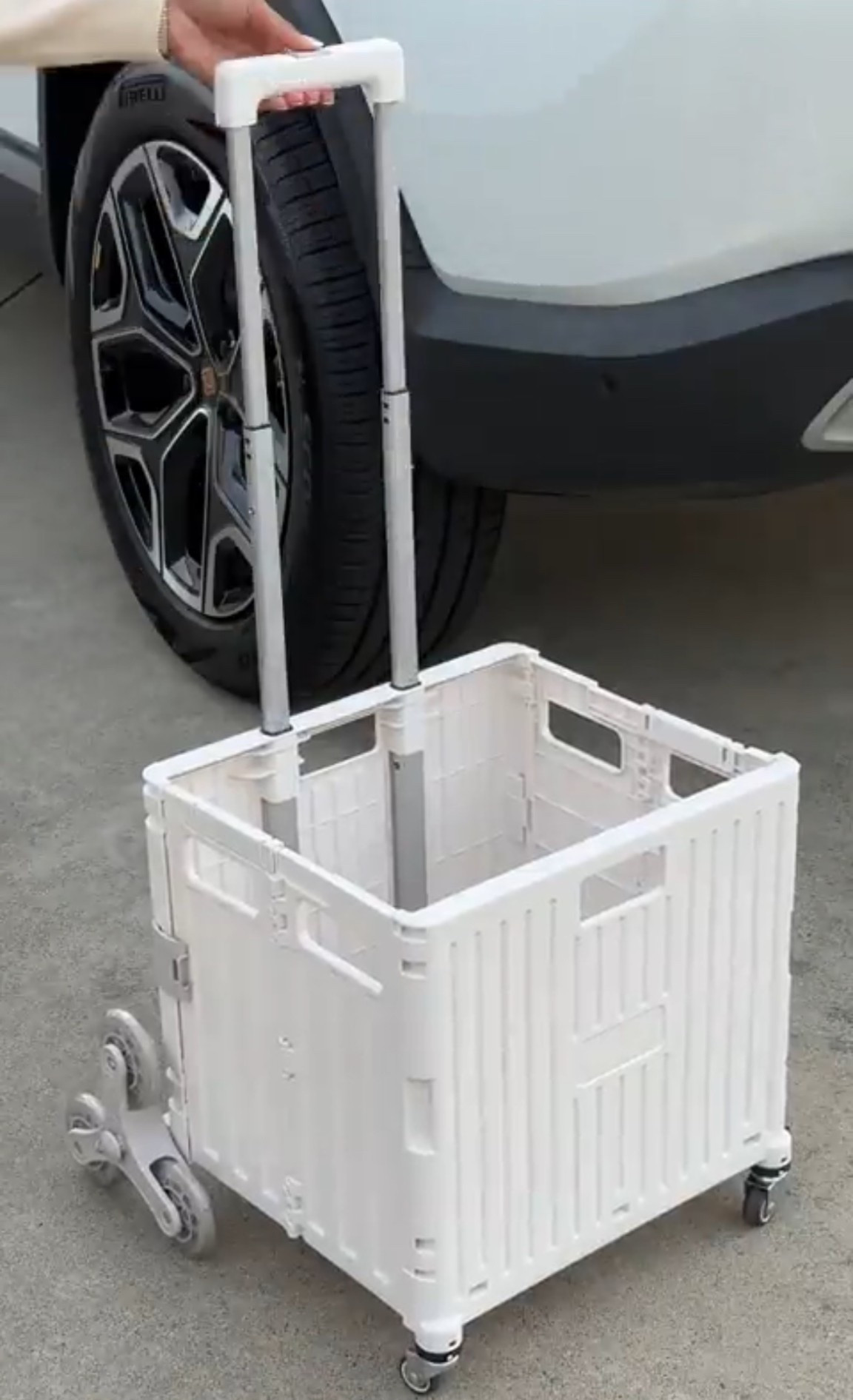 Scroll to shop!! Follow for more!!! Xo! ✨

#LTKHome #LTKHoliday #LTKGiftGuide