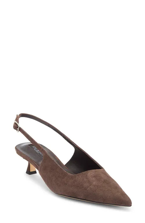 Tony Bianco Crush Slingback Pointed Toe Kitten Heel Pump in Espresso Suede at Nordstrom, Size 9 | Nordstrom