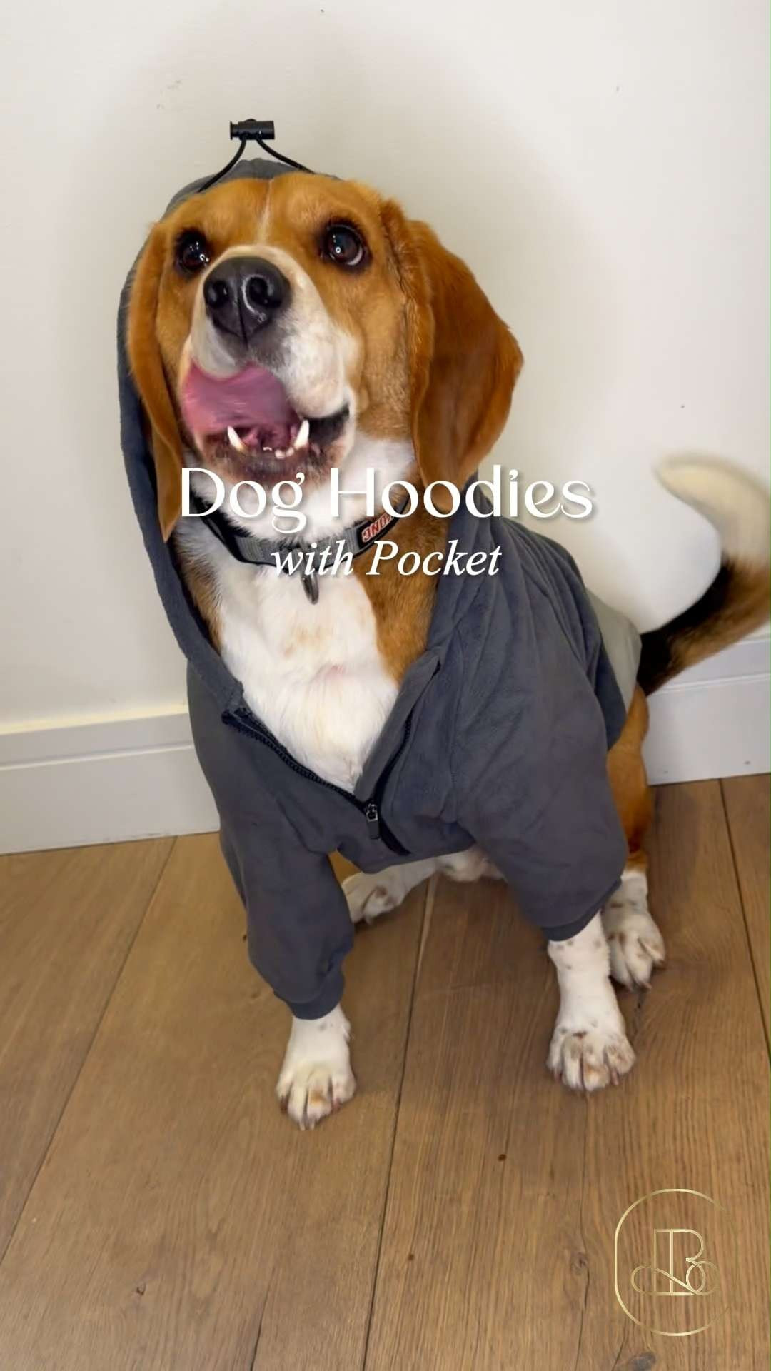 Keep your pup warm and stylish with the ultimate cool-weather essential! 🐾 The Nanaki collection is a total standout for combining a classic, minimalist aesthetic with a functional design. It is a fantastic choice for anyone who values high-quality, reliable gear for a stress-free outdoor routine with their dog! 🐕 #LTKPets #LTKPetFinds #LTKFinds #Nanaki #DogFashion #PetStyle #CozyPup #DogMomLife #PupCare #ActivePets #DogGear #PetWellness #DogVibes #PuppyStyle #OutdoorDogs #PetOrganization #CleanAesthetic #MinimalistLiving #DogLife #HomeInspo #PetEssentials 

#LTKmomlife #LTKHome