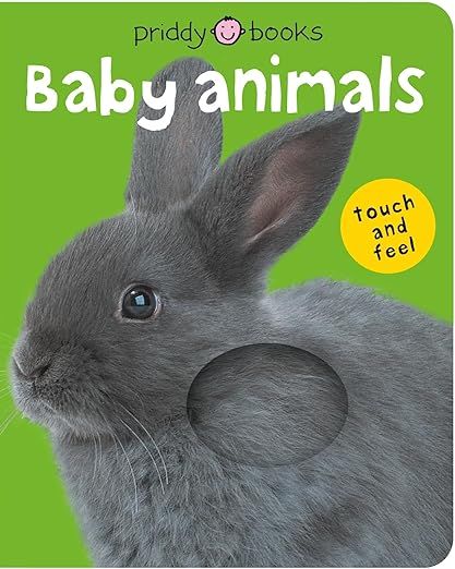 Bright Baby Touch & Feel Baby Animals (Bright Baby Touch and Feel)     Board book – Touch and F... | Amazon (US)