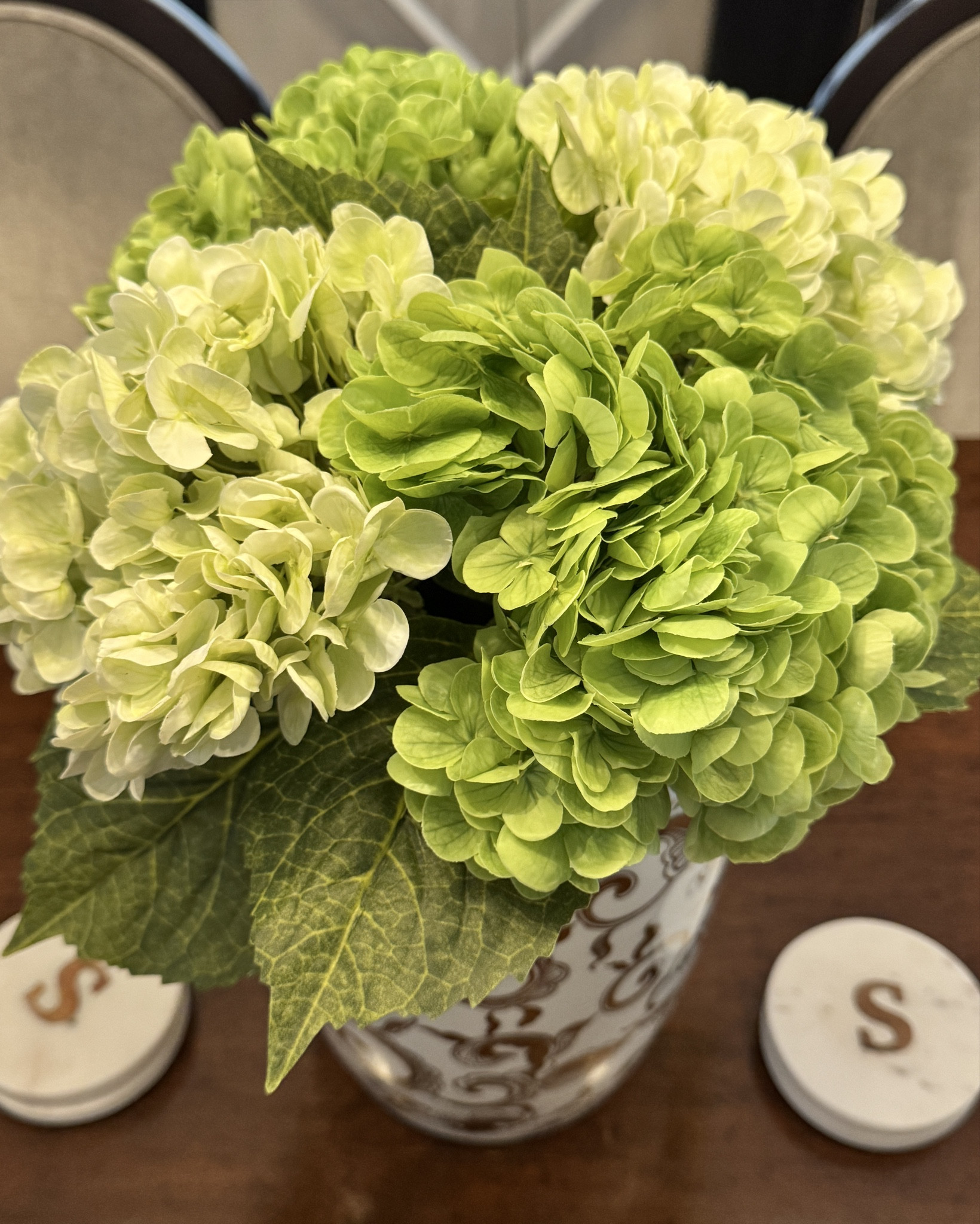 Shocked at how real these look

Home decor flowers spring interior design Amazon 

#LTKSeasonal #LTKHome