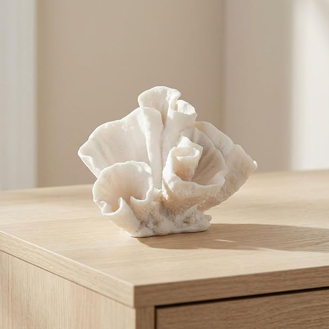 Resin Coral Decorative Sculpture – Coastal Figurine Accent for Bookshelf Styling, Coffee Tables... | Amazon (US)