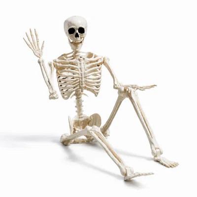Halloween Skeleton Decor | Wayfair North America