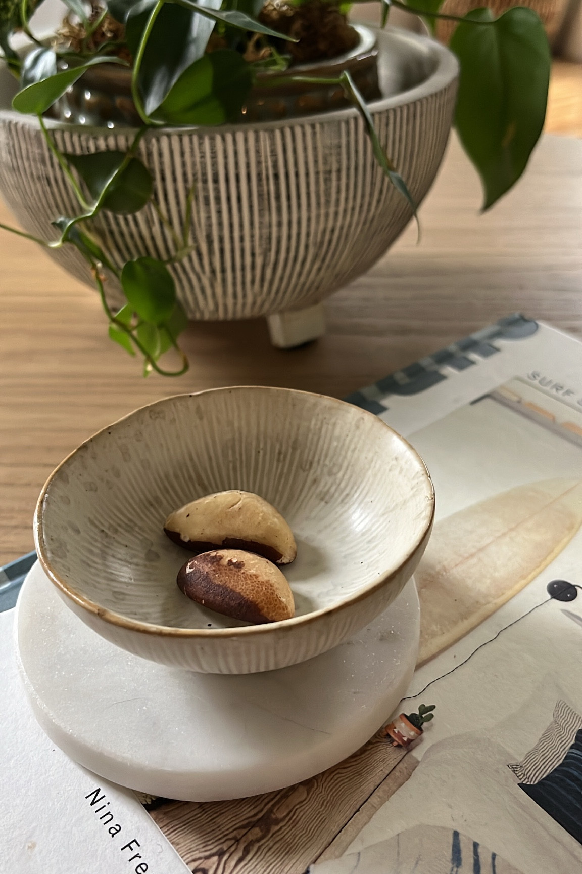 Brazil nuts! so many healthy benefits 🌰🌱

#LTKfit #LTKunder50 #LTKunder100